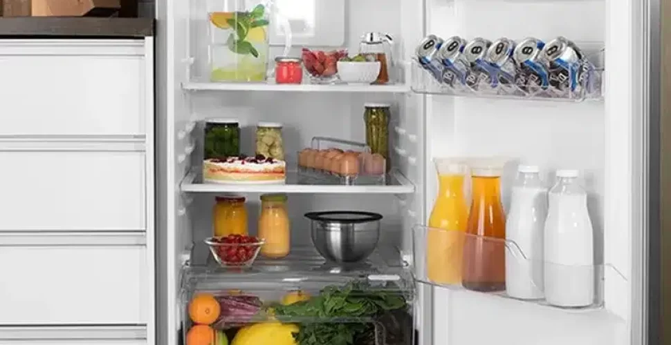 Manutencao-de-Refrigeradores